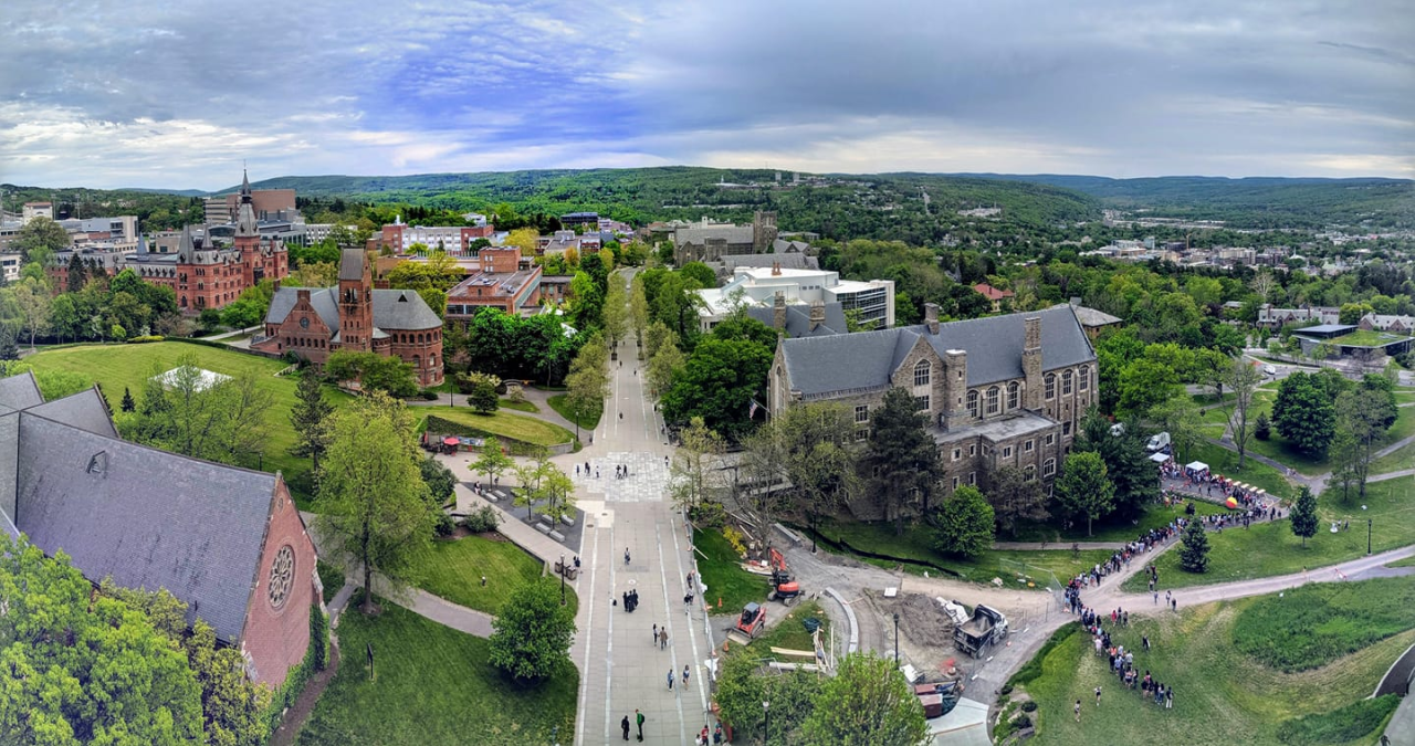 24fall首份藤校offer!新鲜爬藤攻略你没理由不收!(图5) 24fall首份藤校offer!新鲜爬藤攻略你没理由不收!(图5)