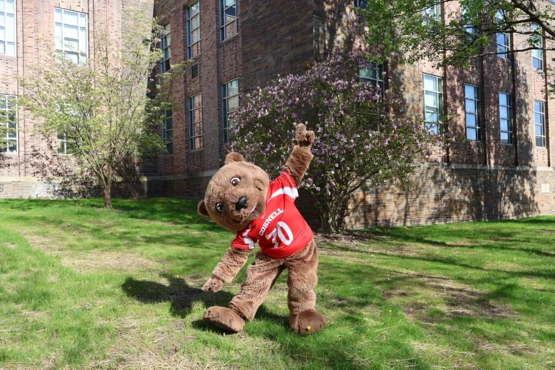 24fall首份藤校offer!新鲜爬藤攻略你没理由不收!(图6) 24fall首份藤校offer!新鲜爬藤攻略你没理由不收!(图6)