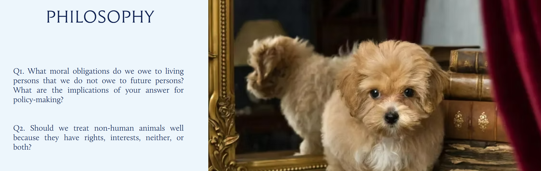 John Locke Essay Competition -- 文科生的“奥数竞赛”，值得参加吗？(图4)