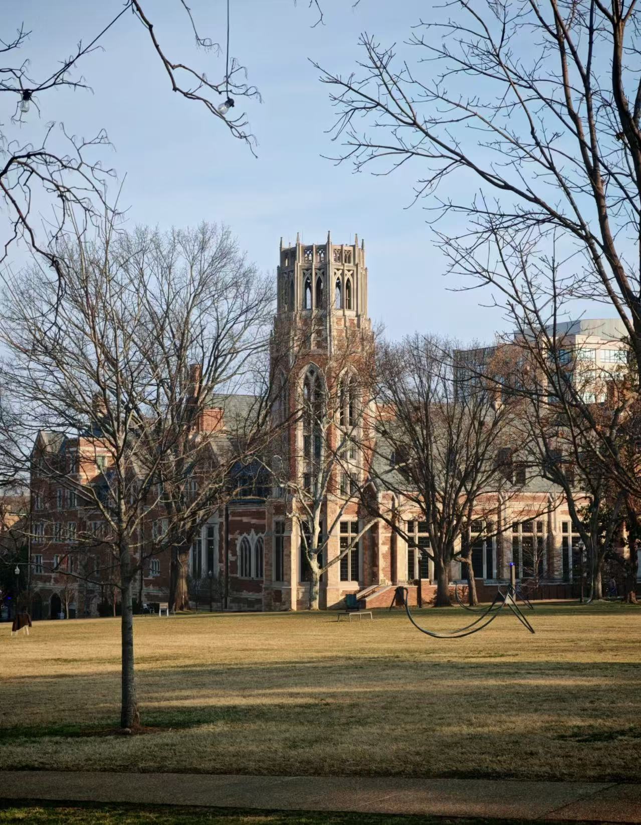 范德堡大学官宣：标化可选时代终结，1500分或成新基准线(图3)